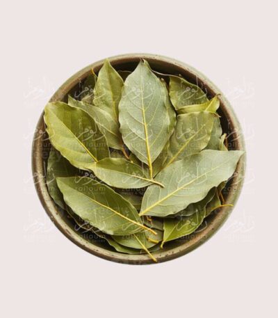 ورق غار