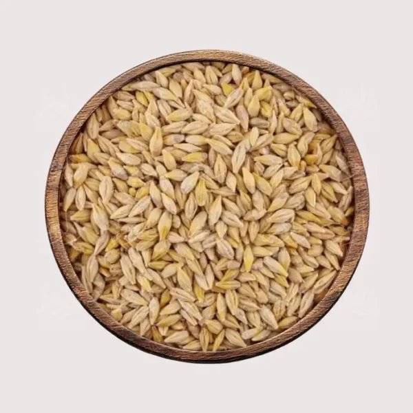 شعير بلدي - متجر زلوم