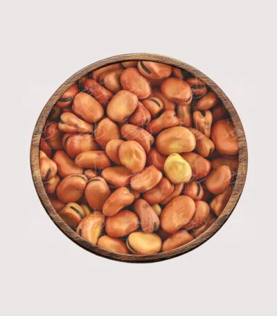فول حبة صغيرة - متجر البلاد